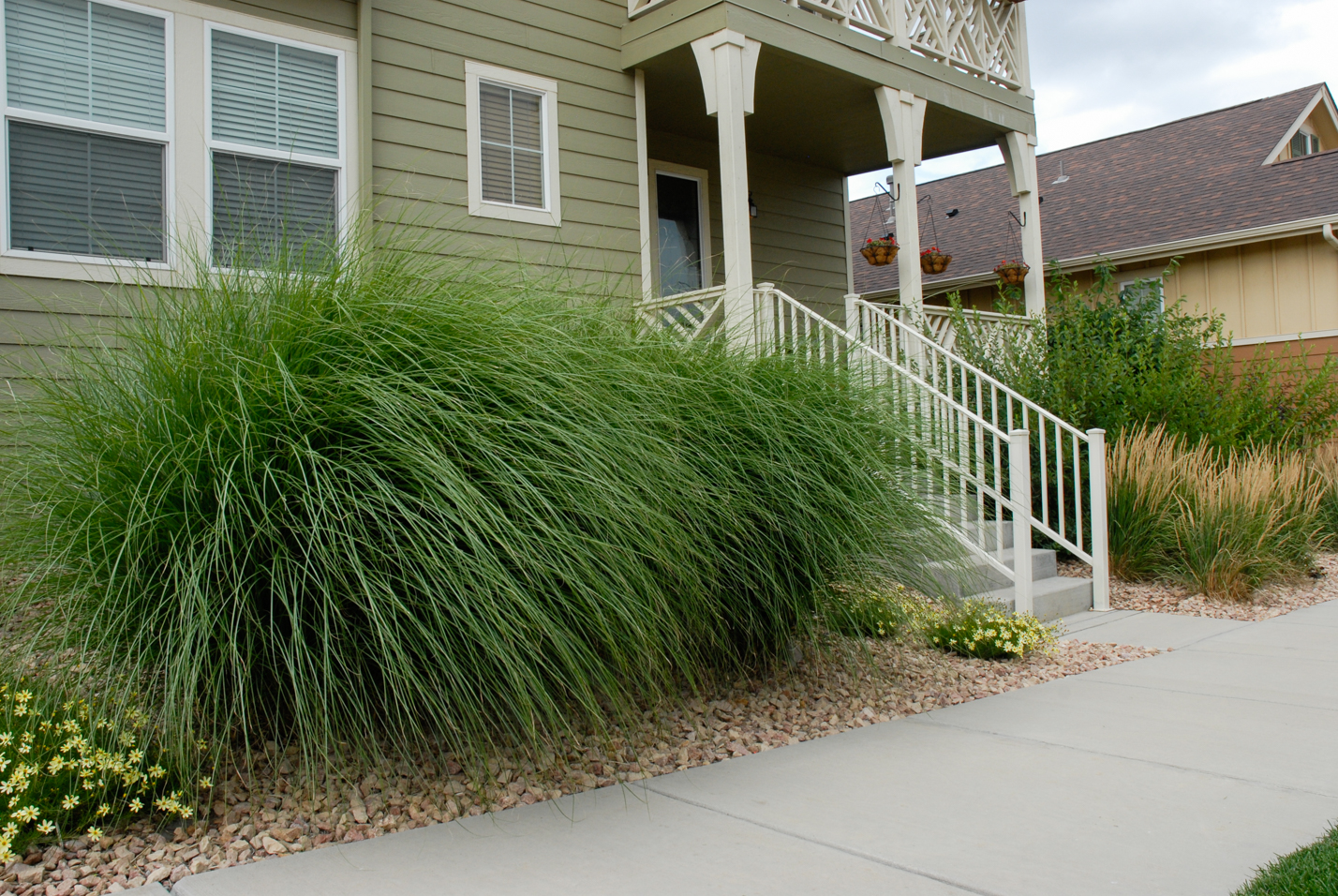 Small Rock Mulch Yard